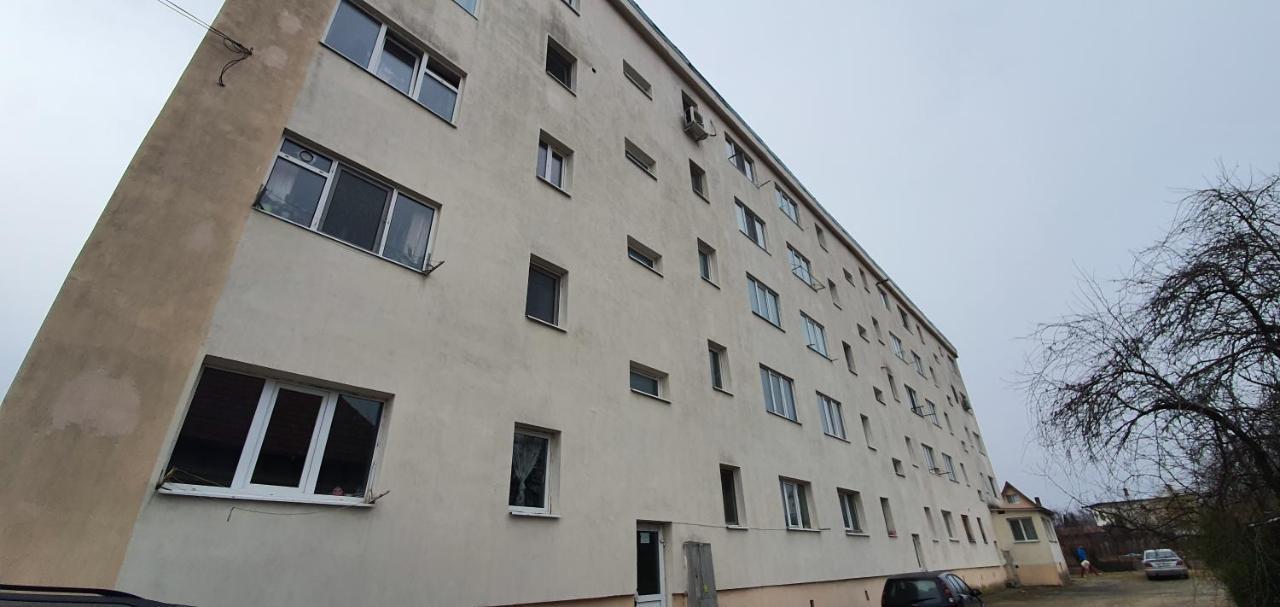 Garsoniera Horezu Apartment Exterior photo